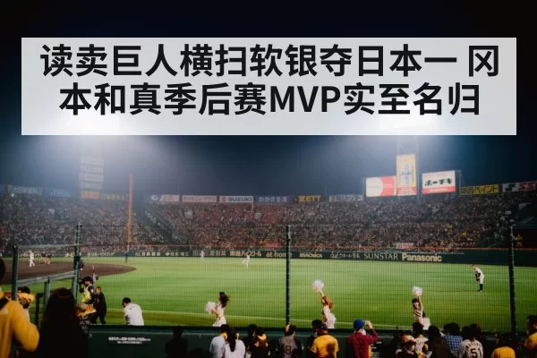 baseball stadium night game